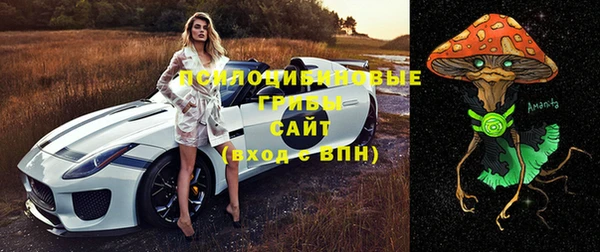 ECSTASY Киреевск